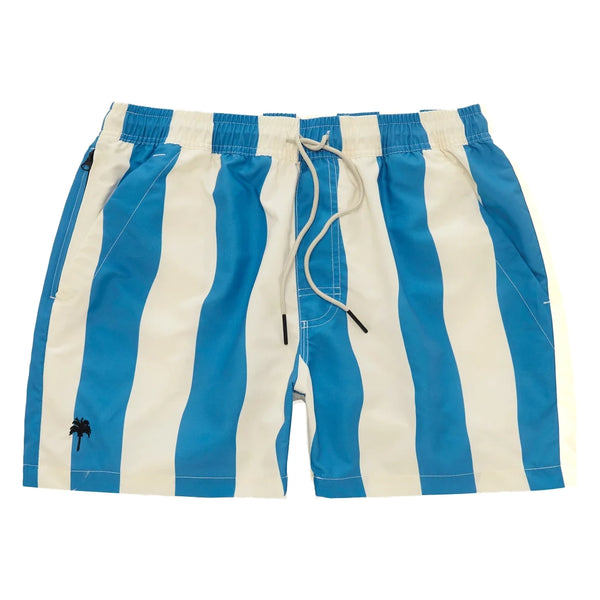 Waver Swim Shorts // Multi