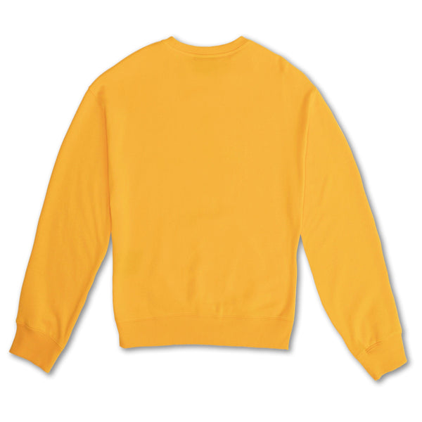 Sweats à capuche - Volcom - BudonBoard Sweatshirt Boys // Sunburst - Stoemp