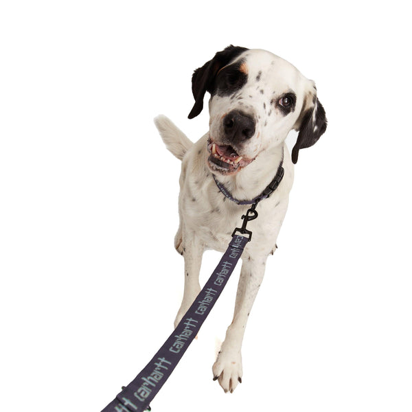 Autres - Carhartt WIP - Script Dog Leash And Collar // Artichoke/Misty Sage - Stoemp